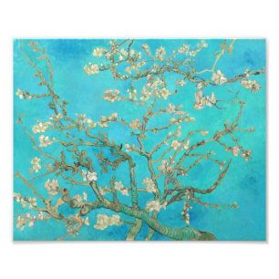Van Gogh Almond Blossoms Photo Print