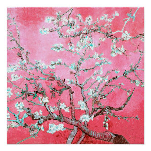 Van Gogh Almond Blossoms pink blue Poster
