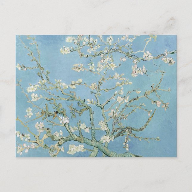 Van Gogh Almond Blossoms Postcard (Front)