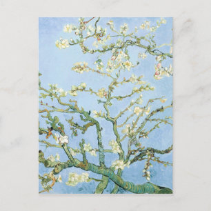 Van Gogh Almond Blossoms Postcard