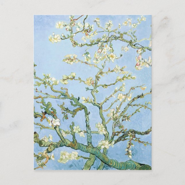 Van Gogh Almond Blossoms Postcard (Front)