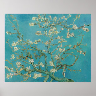 Van Gogh Almond Blossoms Poster