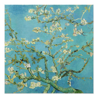 Van Gogh Almond Blossoms Poster
