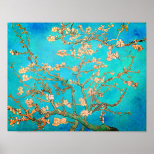 Van Gogh Almond Blossoms Poster