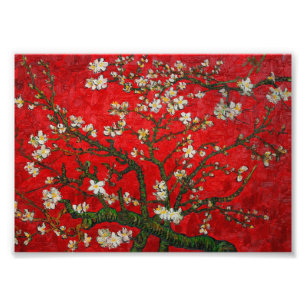 Van Gogh Almond Blossoms Red Photo Print