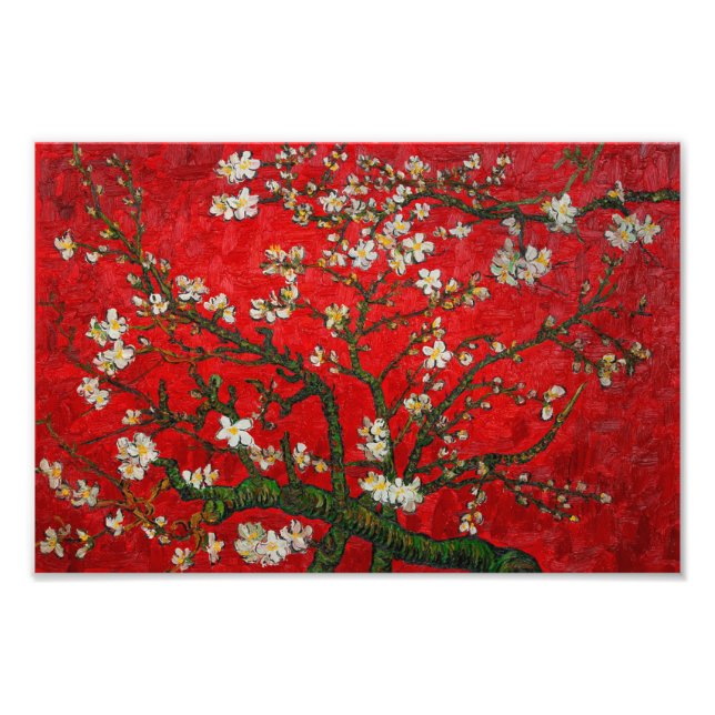 Van Gogh Almond Blossoms Red Photo Print (Front)