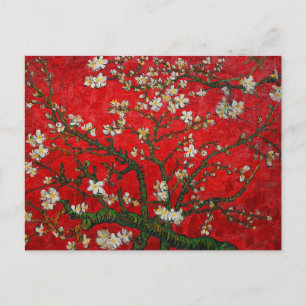 Van Gogh Almond Blossoms Red Postcard