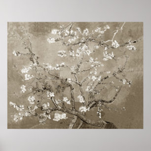 Van Gogh Almond Branches in Bloom - Sepia Poster