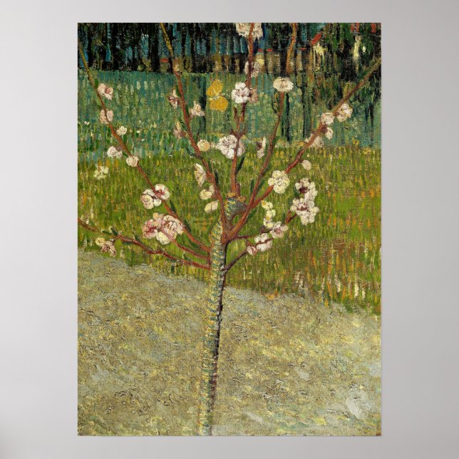 Van Gogh - Almond Tree In Blossom Poster (Front)