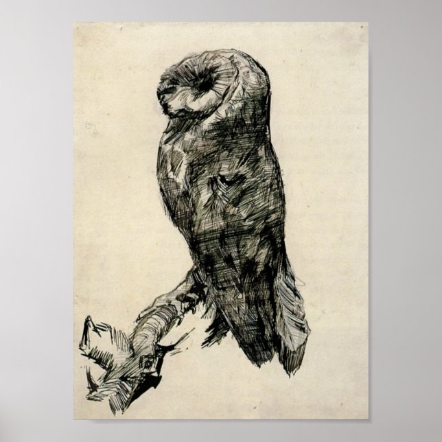Van Gogh - Barn Owl Viewed from the Side Poster (Front)