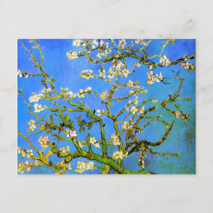 Van Gogh: Blossoming Almond Tree Branches Postcard