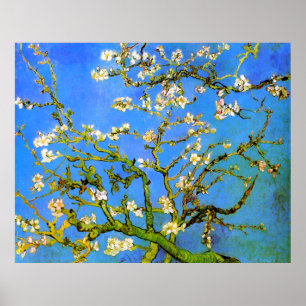 Van Gogh: Blossoming Almond Tree Branches Poster