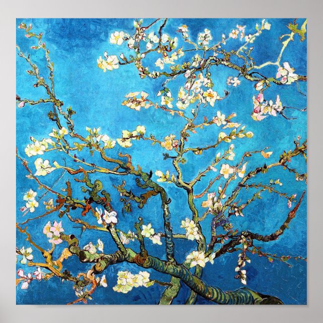 Van Gogh Blossoming Almond Tree Fine Art Poster (Front)