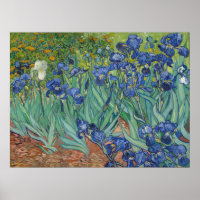 Van Gogh Classic Painting Irises Floral Botanical