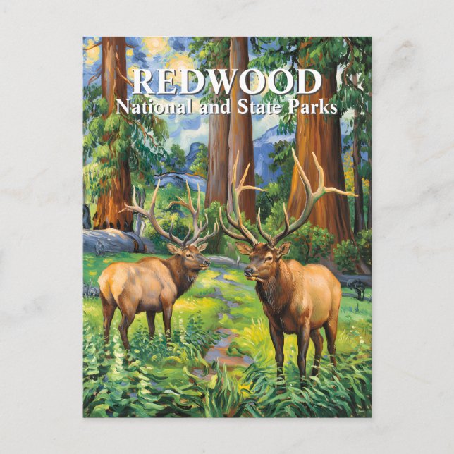 Van Gogh Elk Redwood California Forest Custom Text Postcard (Front)