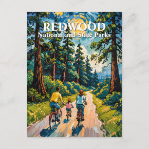 Van Gogh Family Bike Ride Redwood National Park Postcard