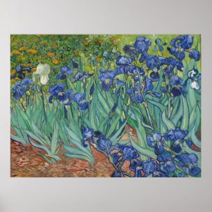 Van Gogh Famous Blue Irises Floral Oil Painting Poster
