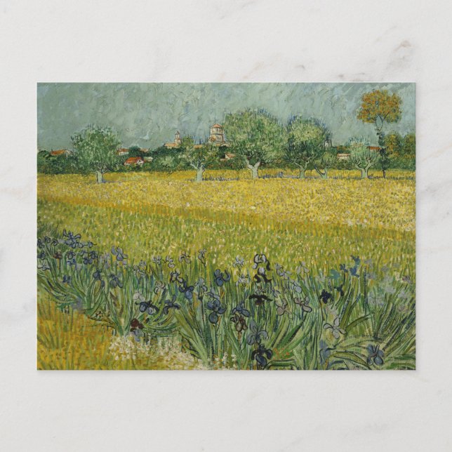 Van Gogh Field With Flowers Near Arles Postcard (Front)