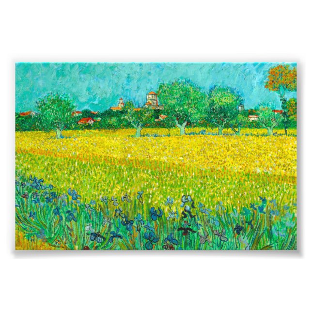 Van Gogh Field with Irises Near Arles Photo Print (Front)