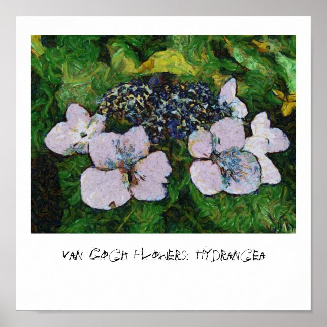 Van Gogh Flowers: Hydrangea Poster (Front)