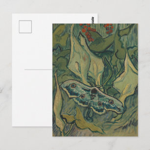 Van Gogh Giant Peacock Moth Vintage Nature ArtVan  Postcard