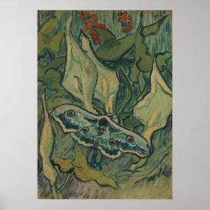 Van Gogh Giant Peacock Moth Vintage Nature ArtVan  Poster
