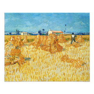 Van Gogh; Harvest in Provence Photo Print