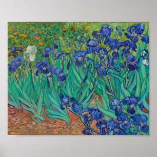 van Gogh - Irises (1889) Poster
