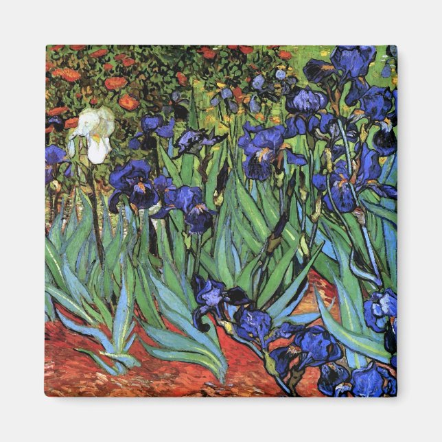 Van Gogh Irises (F608) Vintage Fine Art Magnet (Front)