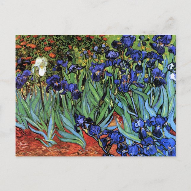 Van Gogh Irises (F608) Vintage Fine Art Postcard (Front)