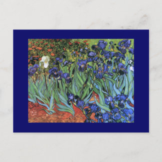 Van Gogh Irises (F608) Vintage Fine Art Postcard