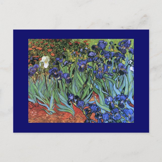 Van Gogh Irises (F608) Vintage Fine Art Postcard (Front)