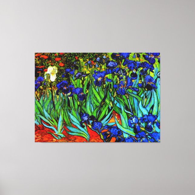 Van Gogh - Irises, fine art painting Canvas Print (Front)