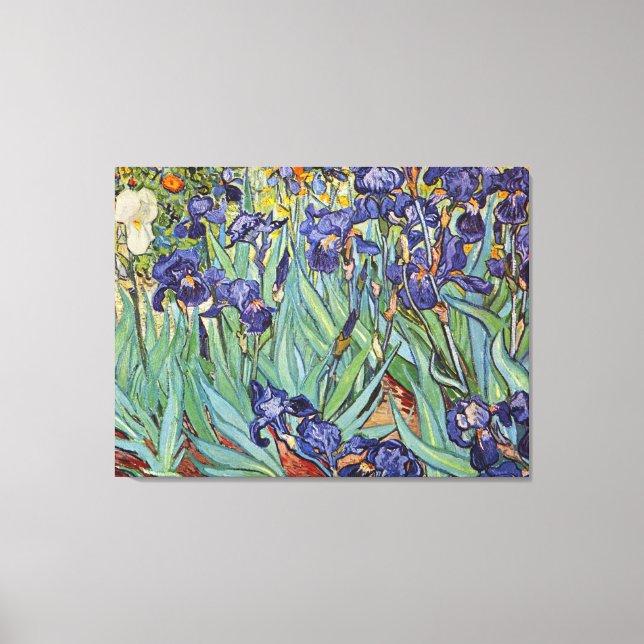 Van Gogh Irises Impressionist Painting Canvas Print (Front)