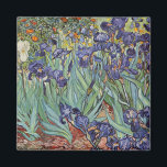 Van Gogh Irises Impressionist Painting Magnet<br><div class="desc">Vincent Van Gogh Irises at Saint Remy - Irises by Vincent Van Gogh is a wonderful impressionistic painting by one of the master impressionism artists of all time. The iris garden is swirling with color and emotion, as the purple irises flow up from their blue green stems and leaves. There...</div>