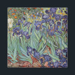 Van Gogh Irises Impressionist Painting Magnet<br><div class="desc">Vincent Van Gogh Irises at Saint Remy - Irises by Vincent Van Gogh is a wonderful impressionistic painting by one of the master impressionism artists of all time. The iris garden is swirling with color and emotion, as the purple irises flow up from their blue green stems and leaves. There...</div>