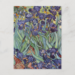 Van Gogh Irises Impressionist Painting Postcard