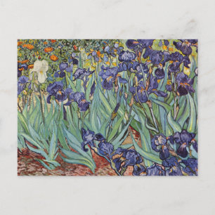 Van Gogh Irises Impressionist Painting Postcard