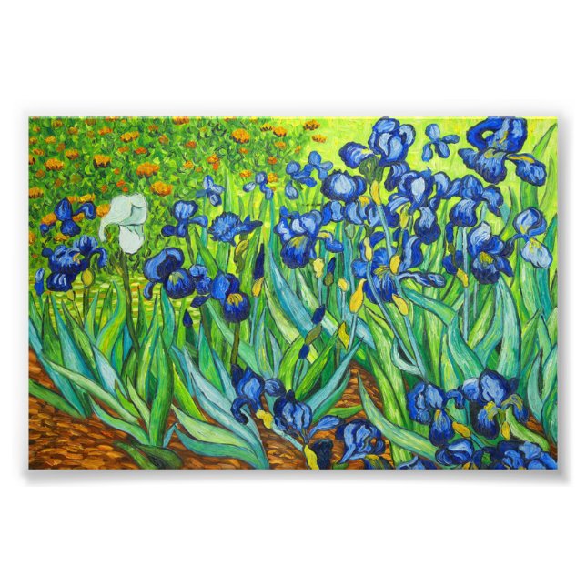 Van Gogh Irises Photo Print (Front)
