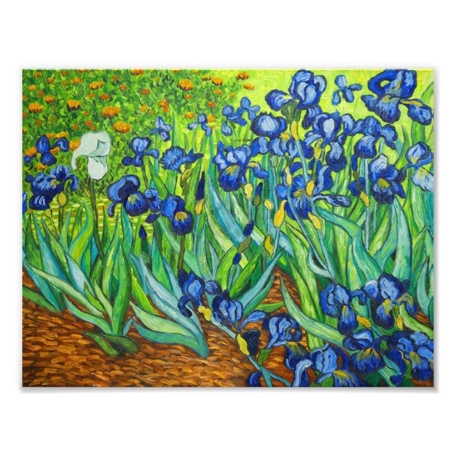 Van Gogh Irises Photo Print (Front)