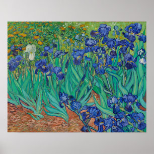 Van Gogh Irises Poster
