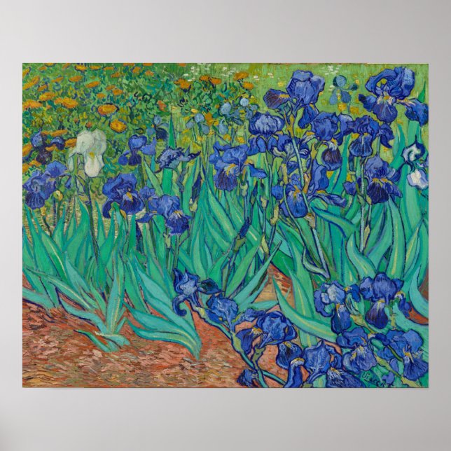 Van Gogh Irises Poster (Front)