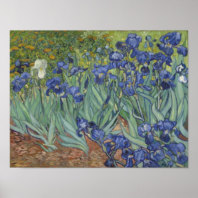 van Gogh Irises Poster (Front)