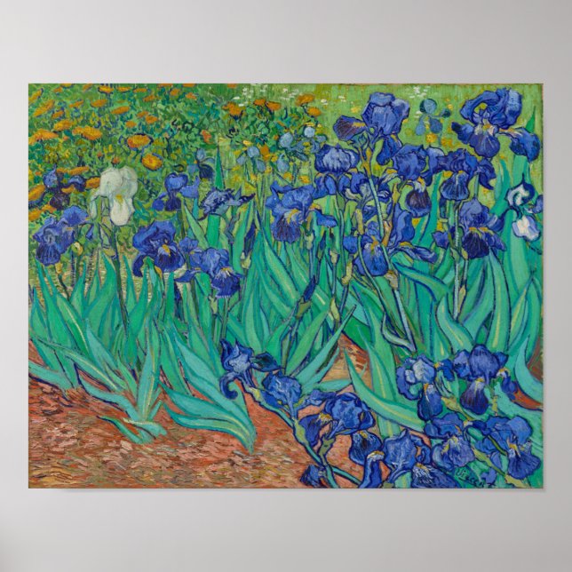 Van Gogh Irises Poster (Front)