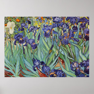 Van Gogh Irises Poster