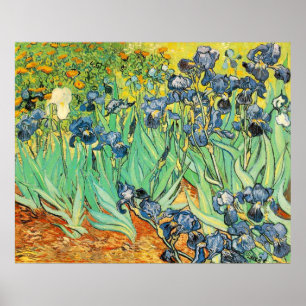 Van Gogh Irises Poster
