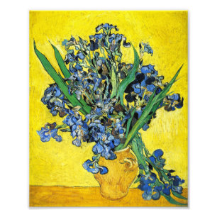 Van Gogh Irises Print