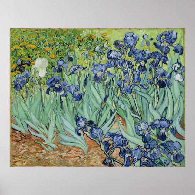 Van Gogh Irises, Vintage Post Impressionism Art Poster (Front)