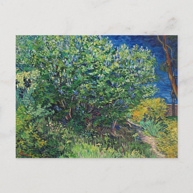 Van Gogh - Lilac Bush Postcard (Front)