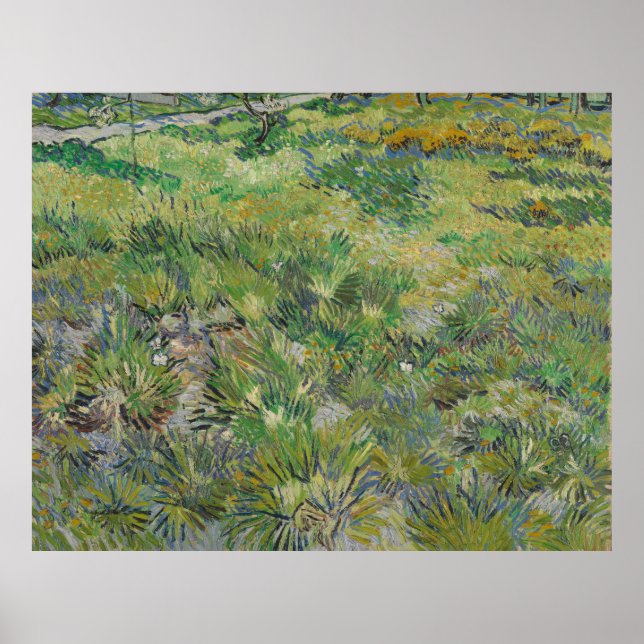 Van Gogh, Long Grass with Butterflies Poster (Front)